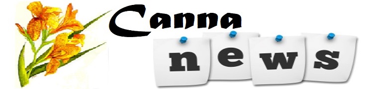 canna_news_04